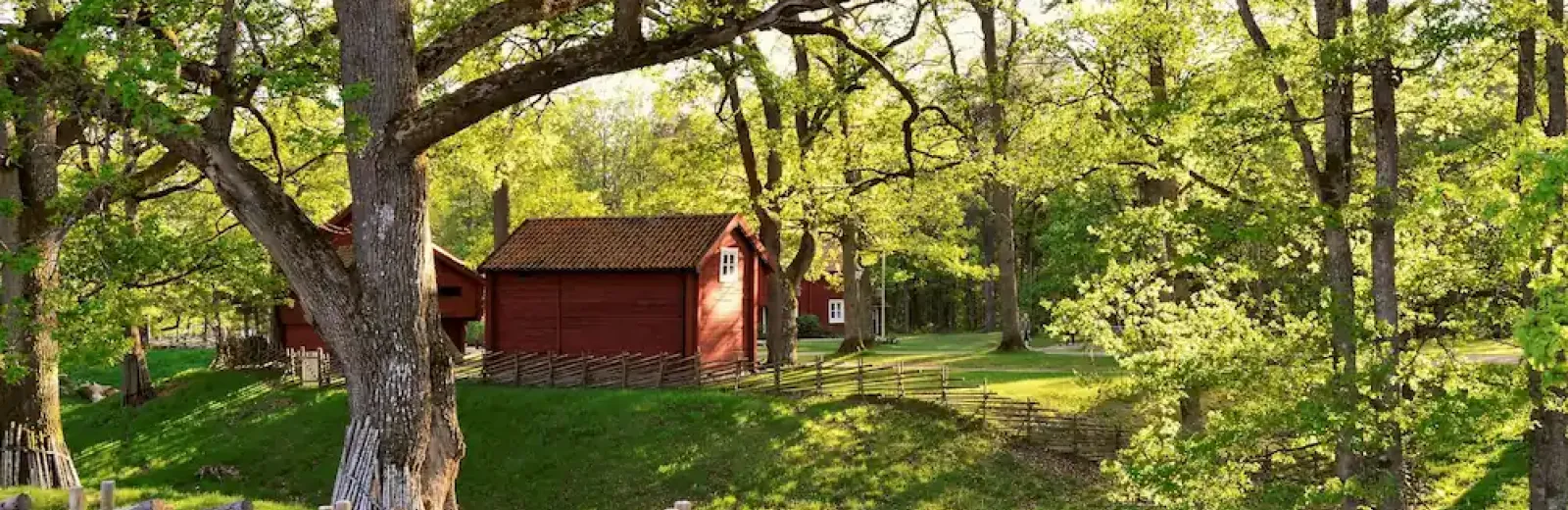 red building with trees surrounding it